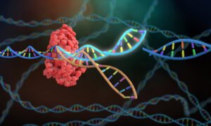 CRISPR 226847821