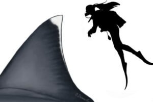 Divervsdorsal article