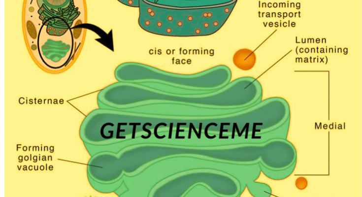 Getscienceme 16