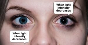 Pupil dilation