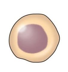 WhatsApp Image 2025 08 25 at 8.10.52 PM 1