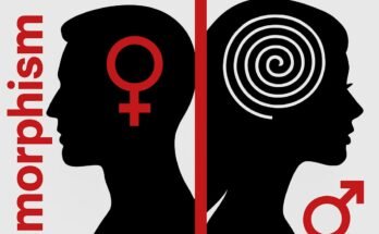 sexual diamorphism e1758997727443